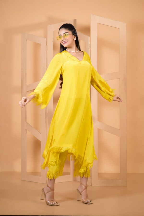 Raw hem coord (RHC) - Image 5